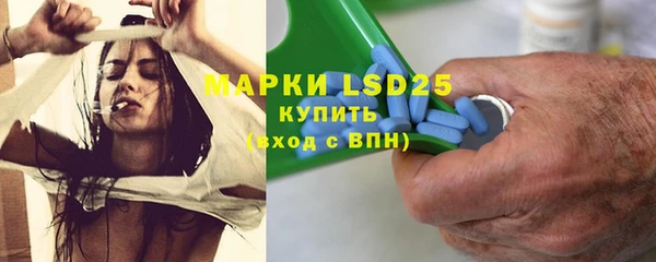 шишки Медногорск