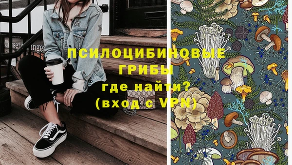 гашик Магадан