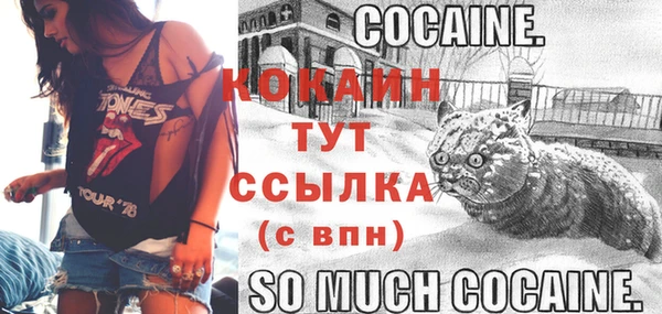СК Лихославль
