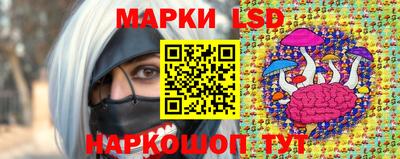 ешки Камышлов