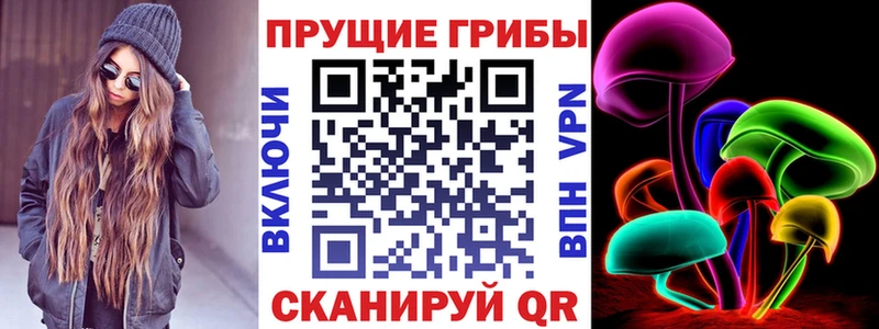 Галлюциногенные грибы Psilocybe  что такое   Муравленко 