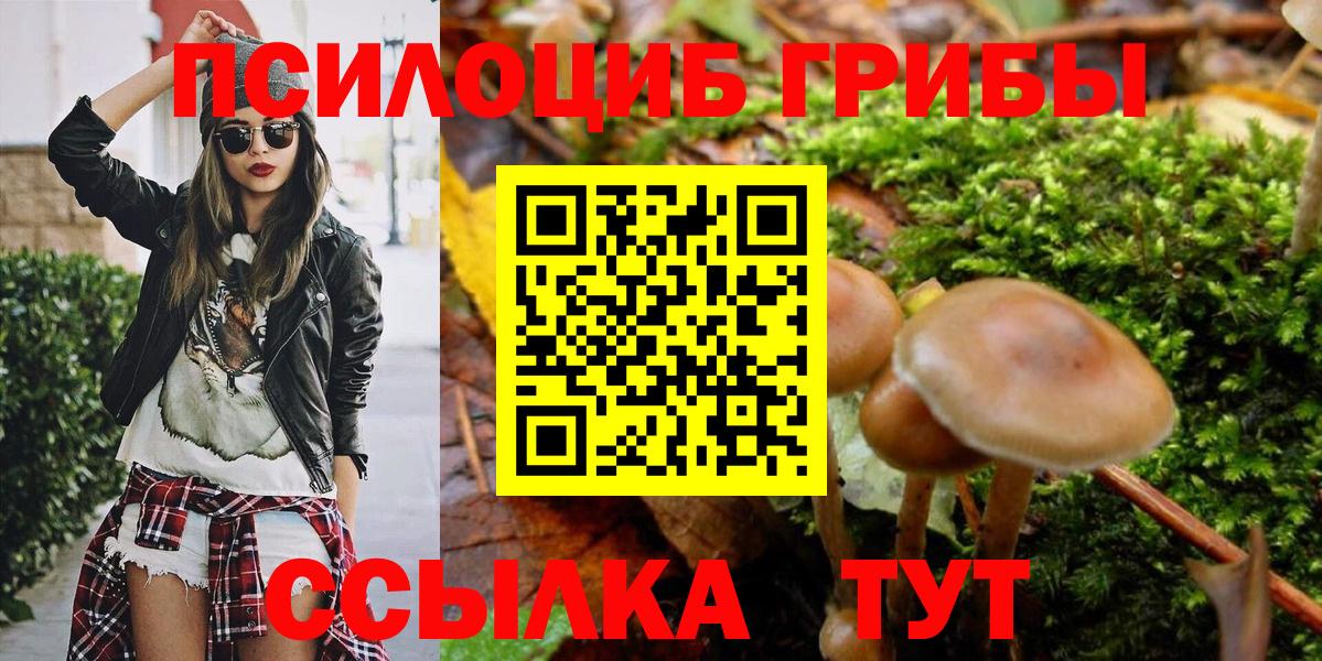 Псилоцибиновые грибы Psilocybine cubensis  Муравленко 