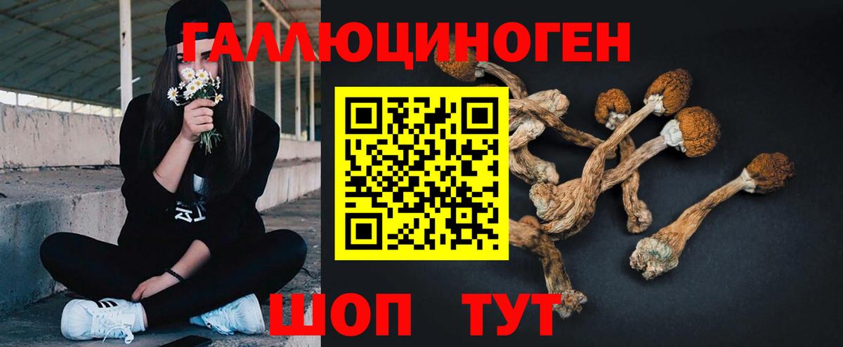 что такое   Вход с VPN  Муравленко  Галлюциногенные грибы ЛСД 
