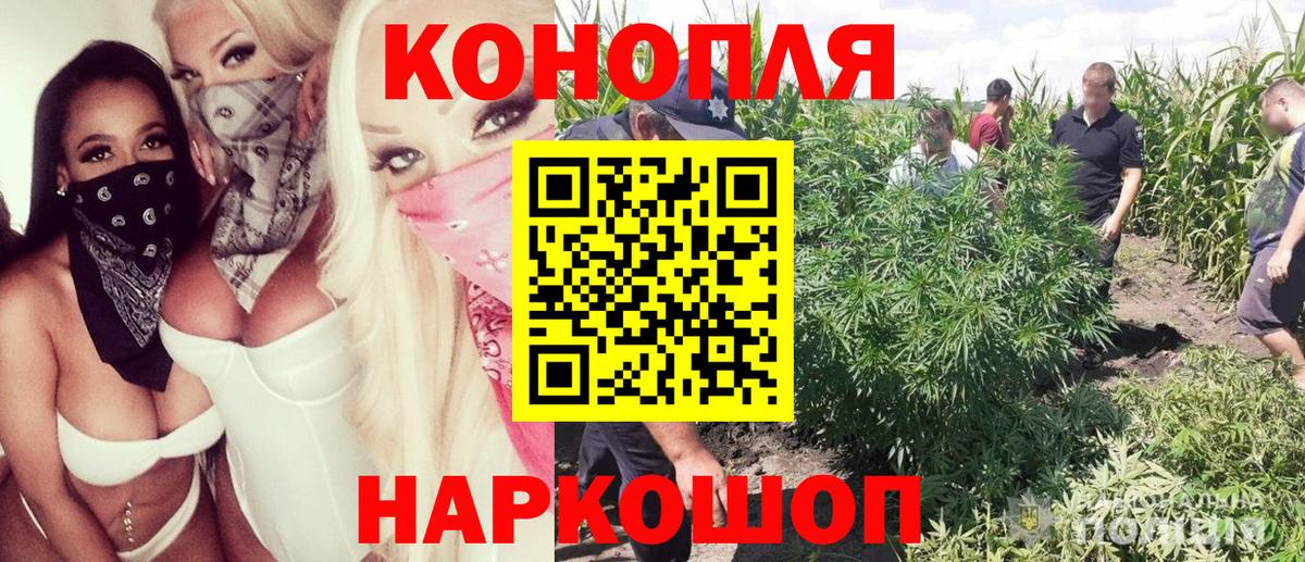 Каннабис планчик  Конопля индика  Вход с VPN  Муравленко 